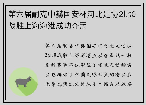 第六届耐克中赫国安杯河北足协2比0战胜上海海港成功夺冠