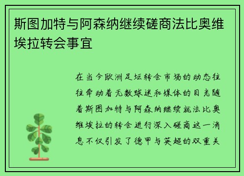 斯图加特与阿森纳继续磋商法比奥维埃拉转会事宜